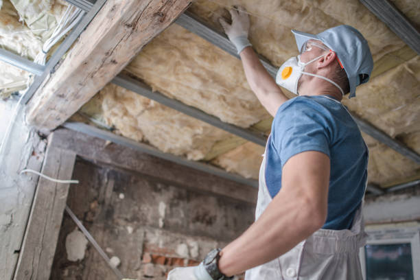 Best Insulation for Specific Applications in Thedral City, CA